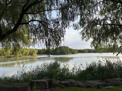 -东华大学(松江校区)