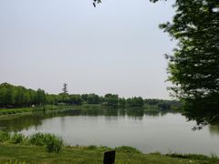 -尚贤河湿地