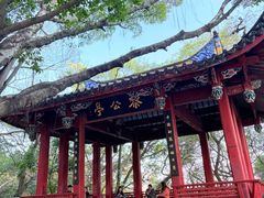 -乌山风景区