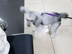 -宠颐生中康贝怡动物医院
