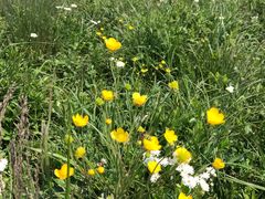 -白草畔自然风景区