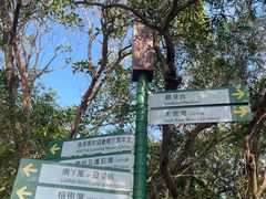 -南丫岛