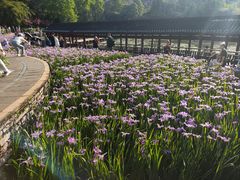 -龙头寺公园