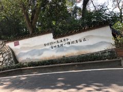 -国恩寺
