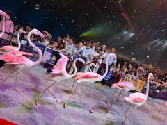 -广州长隆国际大马戏