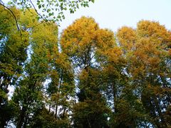 -山王坪喀斯特国家生态公园