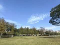 -滨湖塘西河公园