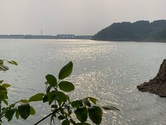 -望湖烤鱼