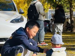 -三里屯东五街银杏大道