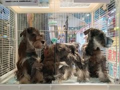 -凯德广场(学府店)