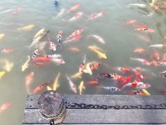 -襄阳烈士陵园(襄城区)