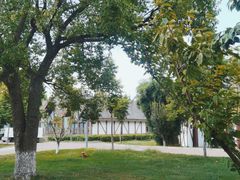 -太阳岛度假酒店