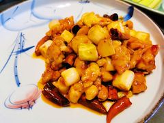 宫爆腰果鸡-晟永興烤鸭店(五道口店)