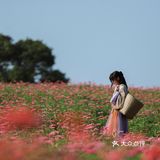 江浙沪的小京都｜无锡灵山小镇拈花湾梵天花海拍照功略