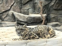 -青藏高原野生动物园