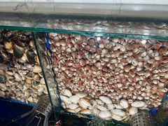 -宴立方海鲜自助(义乌万达广场店)