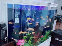 -云镜眼镜加工中心(南环路店)