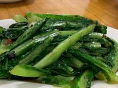 油麦菜-顺发饭店