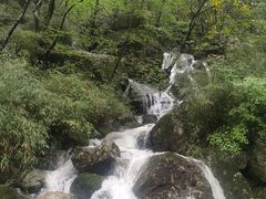 -牛背梁国家森林公园