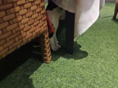 -T館·花园艺术餐厅