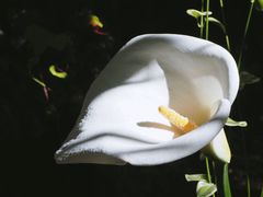 -炊烟餐厅