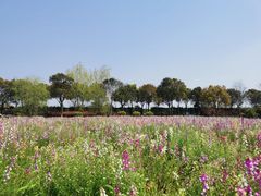 -歌斐颂巧克力小镇