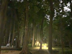 -南宁南湖公园