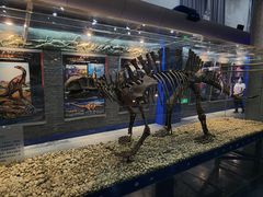 -国家自然博物馆