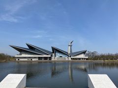 -盐城丹顶鹤湿地生态旅游区