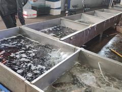 -京贸物联批发市场