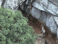 -灵玲国际马戏城