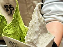 -野人先生Gelato(上海长宁龙之梦店)