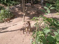 -黔灵山公园