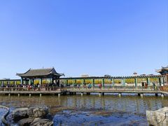 -莲花池公园