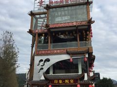 -印象鲵宴·张家界地标美食名片(溪布街店)