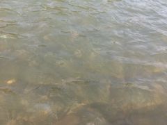 -九曲溪竹筏码头