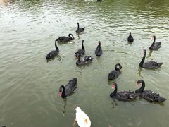-无锡动物园·太湖欢乐园