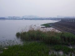 -吴淞炮台湾湿地森林公园烧烤区