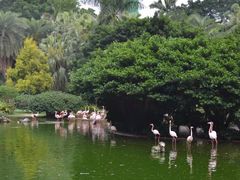 -九龙公园