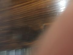 -面尚香关中面馆(盛龙广场总店)