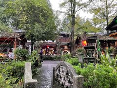 -青城甲(青城山店)