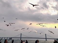 -星海广场