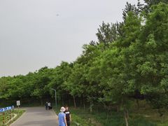 -东郊湿地公园