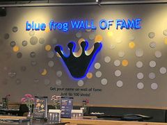 -blue frog蓝蛙(长泰广场店)