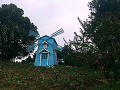 -铁山坪森林公园