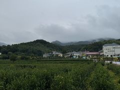 -虎洞山庄食府