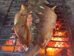 -北京龙庆四季香农家饭庄·灶台鱼·碳烤虹鳟鱼(龙庆峡店)