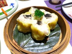 -点都德·毕德寮
