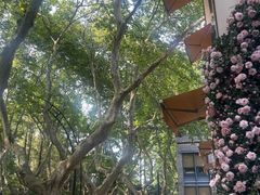 -也枫·小黄楼(南山路旗舰店)