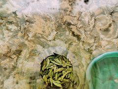 -奈雪的茶(金华永盛店)